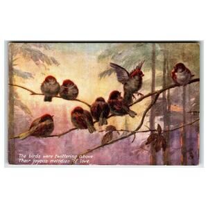 Raphael Tuck Oilette Birds & Blossoms Sparrows New Year Postcard 9169